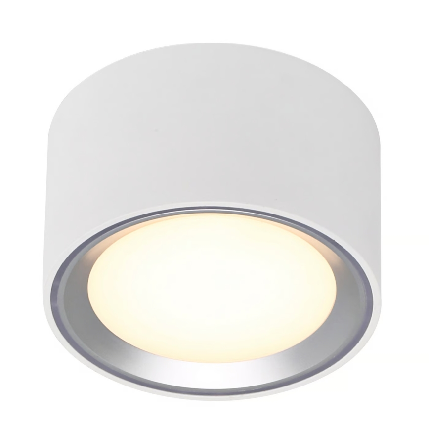 Nordlux - LED Stmievateľné stropné svietidlo FALLON LED/5,5W/230V 2700K biela