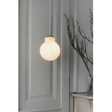 Nordlux - Luster na lanku RAITO 1xE27/25W/230V mosadz/biela