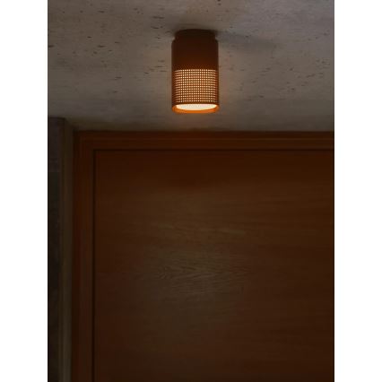 Nordlux - Vonkajšie stropné svietidlo SIDARA 1xE27/15W/230V IP54 hnedá