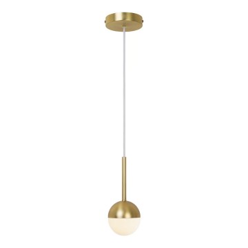 Nordlux - Závesné svietidlo CONTINA so závesným lankom 1xG9/5W/230V mosadz