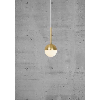 Nordlux - Závesné svietidlo CONTINA so závesným lankom 1xG9/5W/230V mosadz