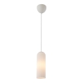 Nordlux - Závesný luster MIELLA na lanku 1xE27/25W/230V biely