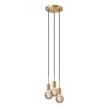 Nordlux - Závesný luster PACO na lanku 3xE27/25W/230V mosadz