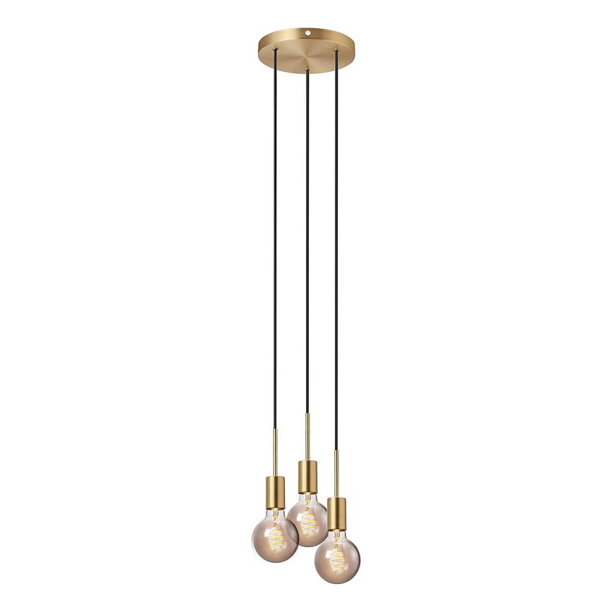 Nordlux - Závesný luster PACO na lanku 3xE27/25W/230V mosadz