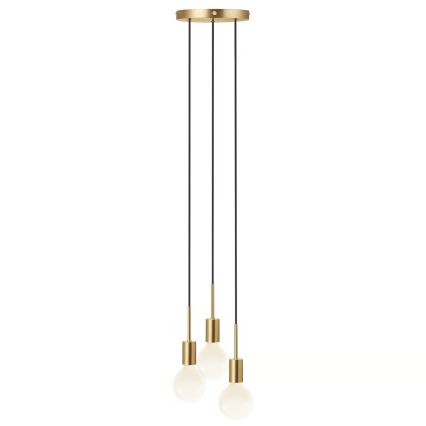 Nordlux - Závesný luster PACO na lanku 3xE27/25W/230V mosadz