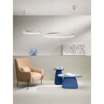 Ondaluce - LED stmievateľný luster na lane SOEL LED/38W/230V pr. 80 cm zlatý