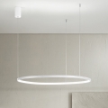 Ondaluce - LED stmievateľný luster na lanku SOEL LED/38W/230V 3000/4000K priem. 80 cm biela