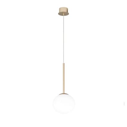 Ondaluce - Závesný luster JEWEL na kábli 1xE14/10W/230V pr. 17 cm zlatá/biela