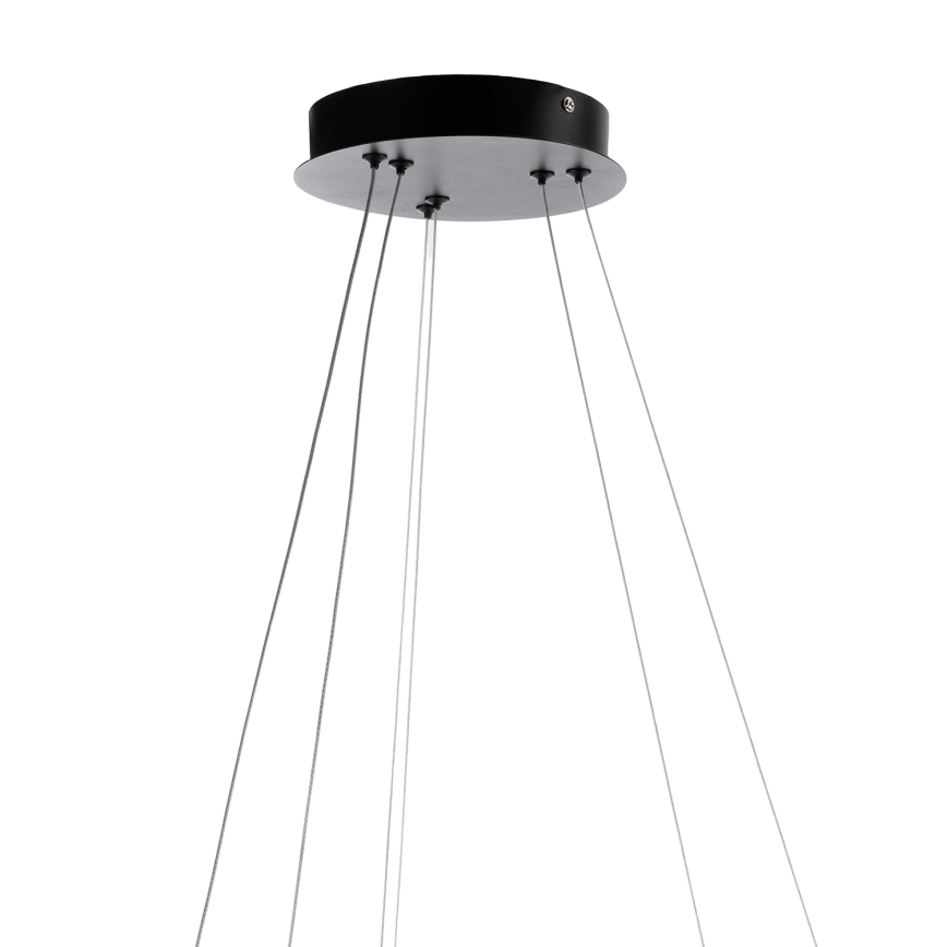 ONLI - LED luster na lankách NOELIA LED/30W/230V čierna