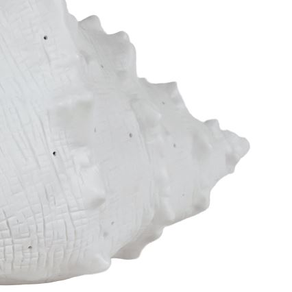 ONLI - Stolná lampa PORCELLANA 1xE14/6W/230V 29 cm mušľa