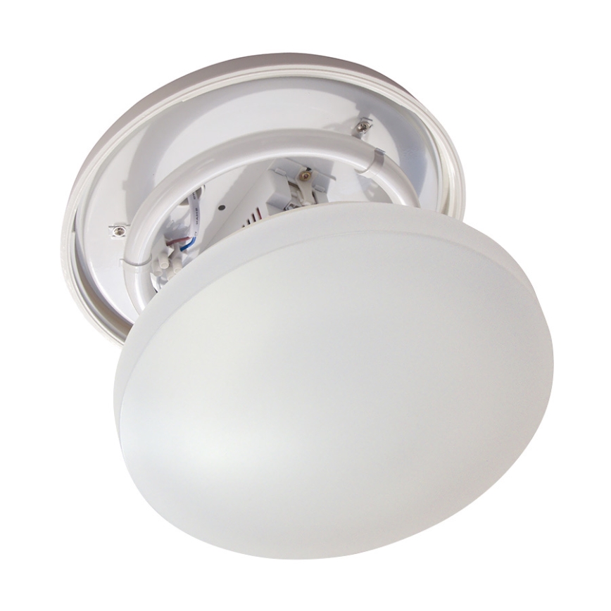 Fulgur 03262 - Kúpeľňové svietidlo FIMX 1xG10q/22W/230V 4000K