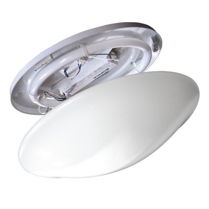 Fulgur 01342 - Stropné svietidlo FIMX 1xG10q/40W/230V