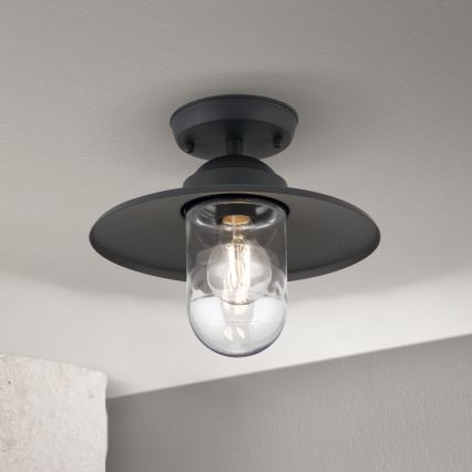 Svietidlo svieti na strop. Je čierne s priehľadným skleneným tienidlom valcovitého tvaru, ktoré zakrýva žiarovku. Svietidlo je pripevnené k stropu.