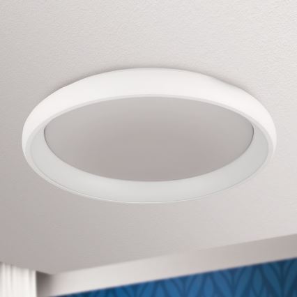 Biela kruhová stropná lampa s vnútorným difúzorom je pripevnená k stropu. Lampa je umiestnená v interiéri s čiastočne viditeľnou modrou stenou.
