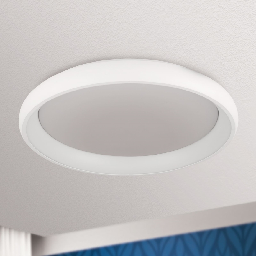 Biela kruhová stropná lampa s vnútorným difúzorom je pripevnená k stropu. Lampa je umiestnená v interiéri s čiastočne viditeľnou modrou stenou.