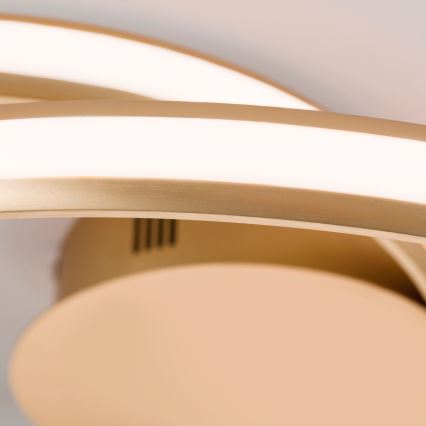 LED Stmievateľné stropné svietidlo CIRCUS LED/30W/230V zlatá