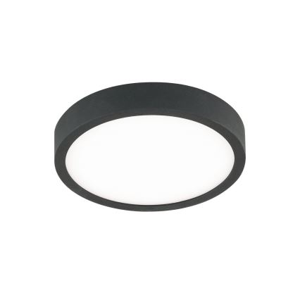LED Stropné svietidlo BULLY LED/12W/230V pr. 14 cm čierna