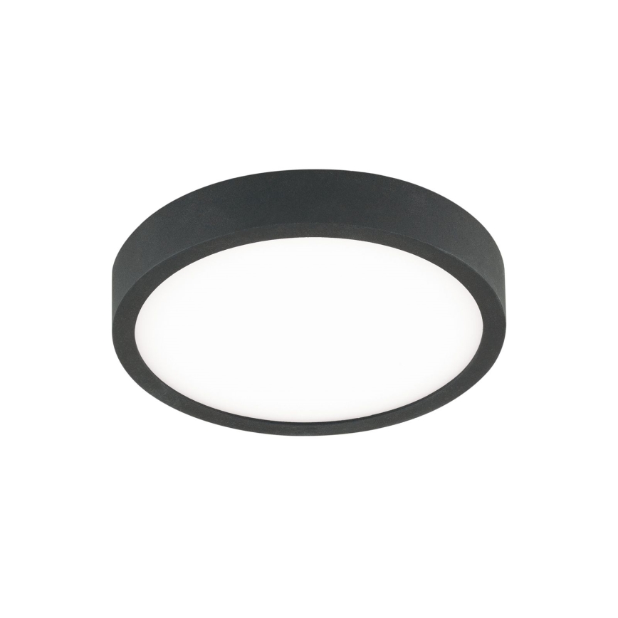 LED Stropné svietidlo BULLY LED/12W/230V pr. 14 cm čierna