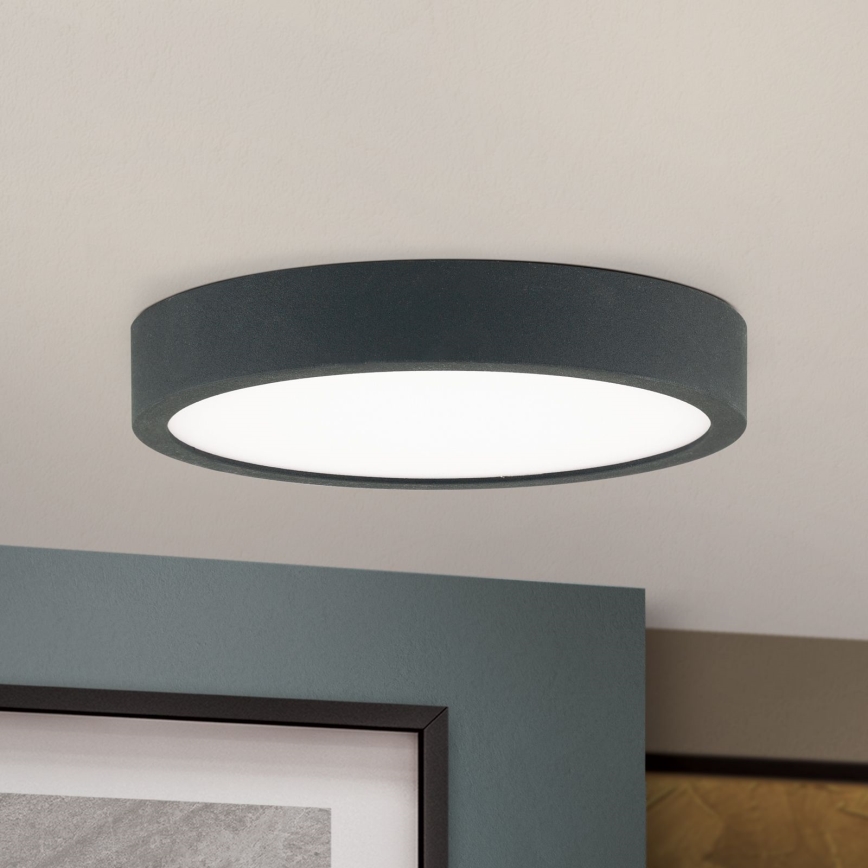 LED Stropné svietidlo BULLY LED/12W/230V pr. 14 cm čierna