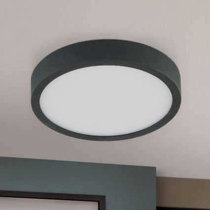 LED Stropné svietidlo BULLY LED/12W/230V pr. 14 cm čierna