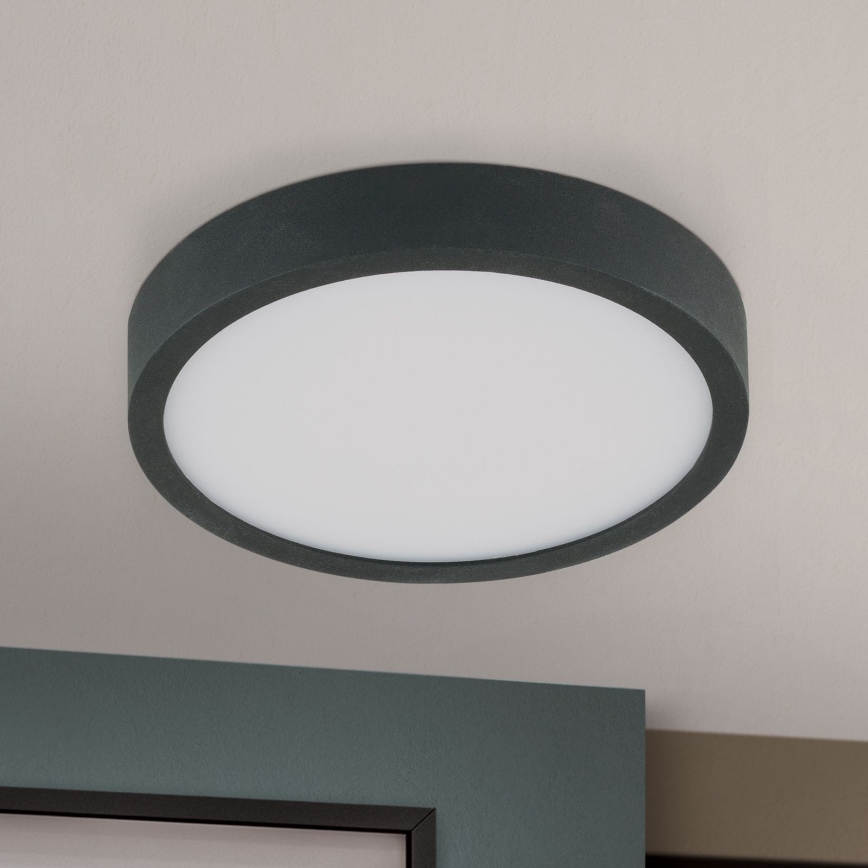 LED Stropné svietidlo BULLY LED/12W/230V pr. 14 cm čierna