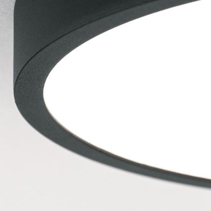 LED Stropné svietidlo BULLY LED/12W/230V pr. 14 cm čierna