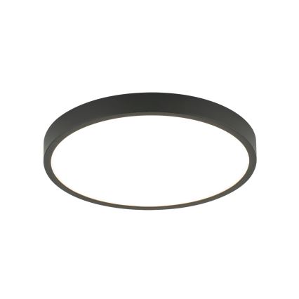 LED Stropné svietidlo BULLY LED/24W/230V pr. 24 cm čierna