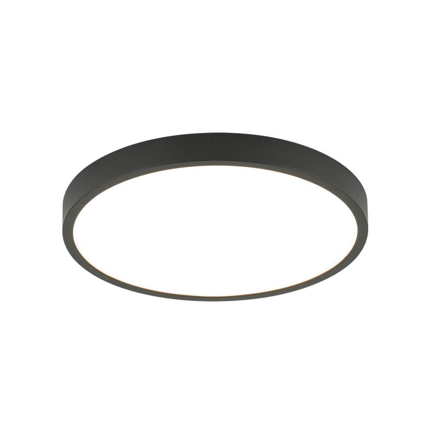LED Stropné svietidlo BULLY LED/24W/230V pr. 24 cm čierna