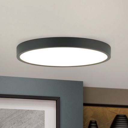 LED Stropné svietidlo BULLY LED/24W/230V pr. 24 cm čierna