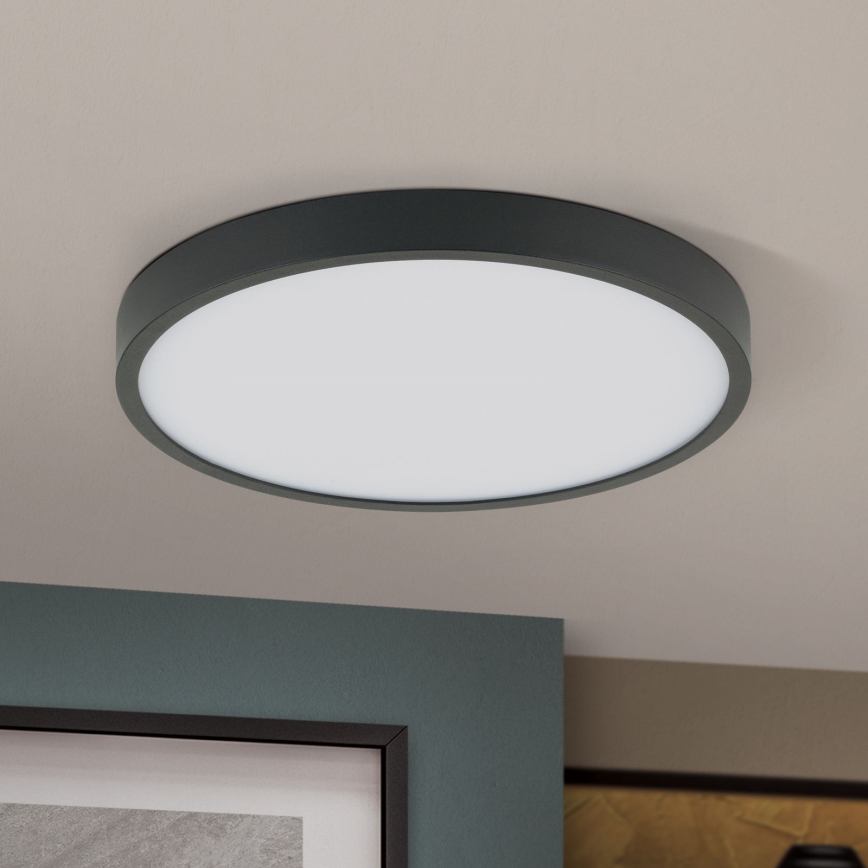 LED Stropné svietidlo BULLY LED/24W/230V pr. 24 cm čierna