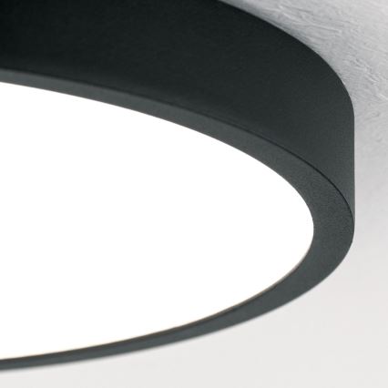 LED Stropné svietidlo BULLY LED/24W/230V pr. 24 cm čierna