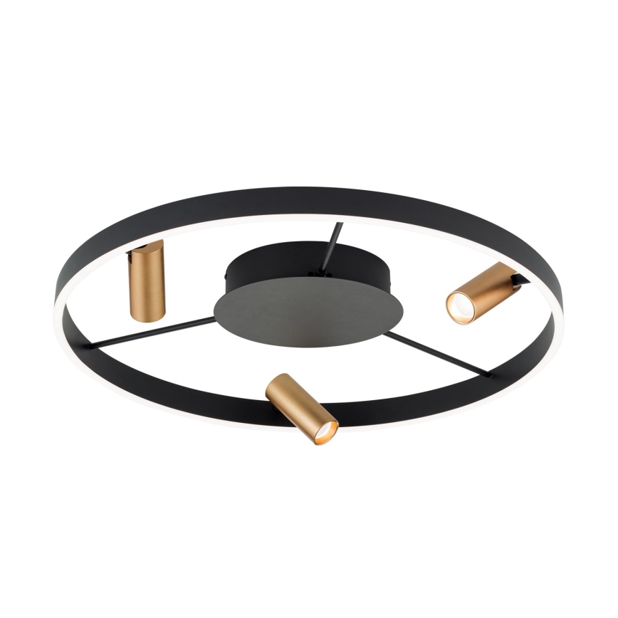 LED Stmievateľné stropné svietidlo BERLIN LED/50W/230V čierna/zlatá