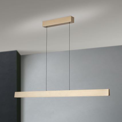 LED Stmievateľný luster na lanku TARA LED/44W/230V 2700/3800/4500/5700K zlatá