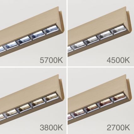 LED Stmievateľný luster na lanku TARA LED/44W/230V 2700/3800/4500/5700K zlatá