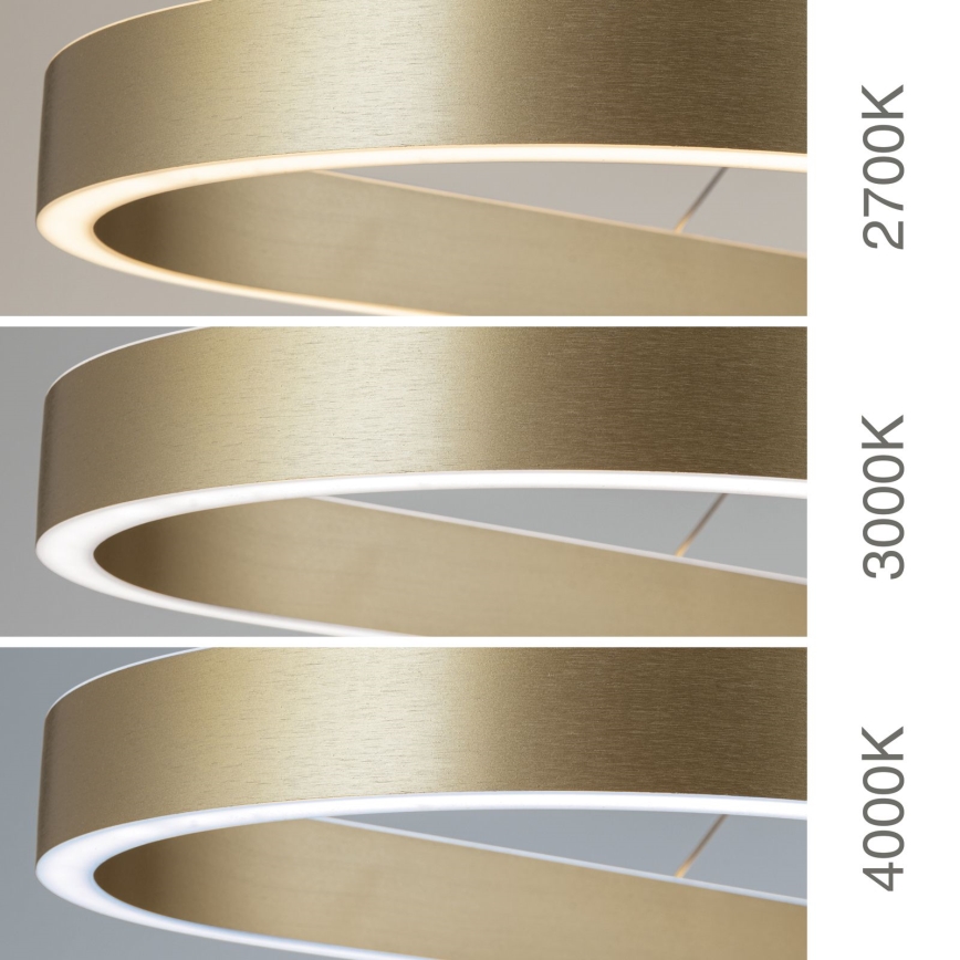 Závesný LED luster na lankách CARRARA LED/80W/230V 2700/3000/4000K, zlatý