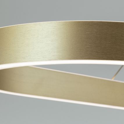 Závesný LED luster na lankách CARRARA LED/80W/230V 2700/3000/4000K, zlatý