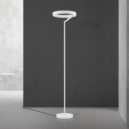 LED stmievaná stojacia lampa KOLK LED/40W/230V 2700/4000K biela