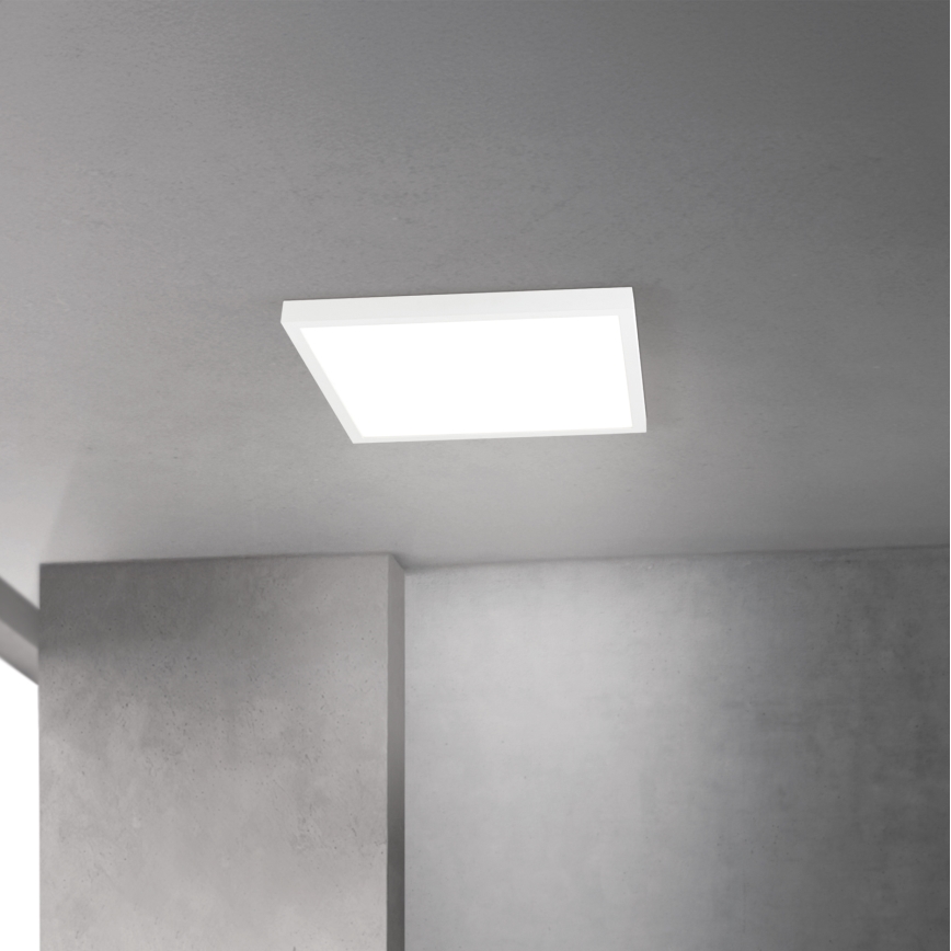 LED stmievateľné stropné svietidlo DISC LED/30W/230V 2700/3000/4000K 39x39 cm biela