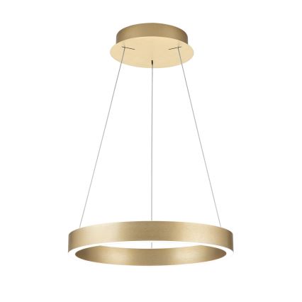 LED stmievateľný luster na lanku KOLK LED/40W/230V 2700/3000/4000K pr. 40 cm zlatá