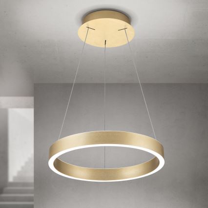 LED stmievateľný luster na lanku KOLK LED/40W/230V 2700/3000/4000K pr. 40 cm zlatá