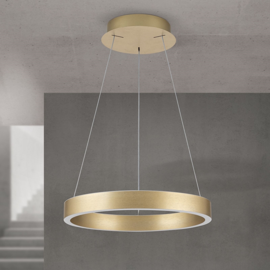 LED stmievateľný luster na lanku KOLK LED/40W/230V 2700/3000/4000K pr. 40 cm zlatá