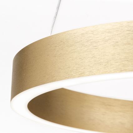 LED stmievateľný luster na lanku KOLK LED/40W/230V 2700/3000/4000K pr. 40 cm zlatá