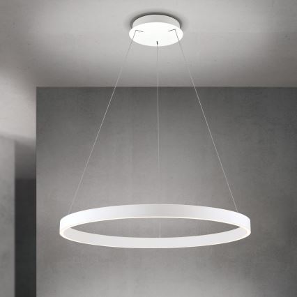 Stmievateľný LED závesný luster na lane KOLK LED/80W/230V 2700/3000/4000K pr. 80 cm biela