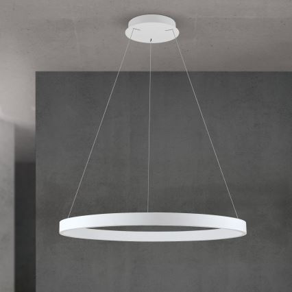 Stmievateľný LED závesný luster na lane KOLK LED/80W/230V 2700/3000/4000K pr. 80 cm biela