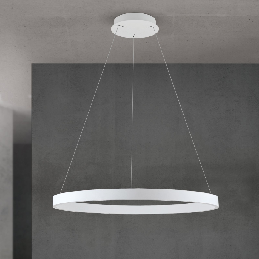 Stmievateľný LED závesný luster na lane KOLK LED/80W/230V 2700/3000/4000K pr. 80 cm biela