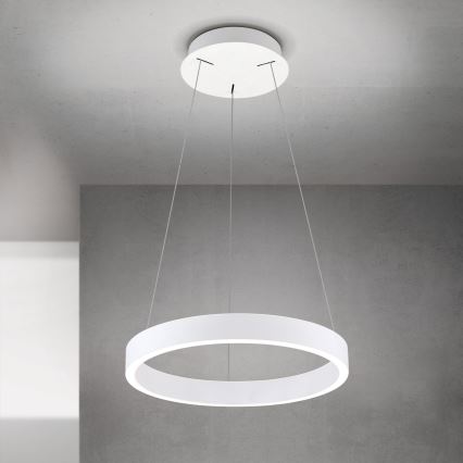 LED stmievateľný luster na lanku KOLK LED/40W/230V 2700/3000/4000K pr. 40 cm biela