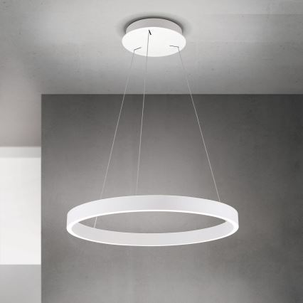 LED Stmievateľný luster na lanku KOLK LED/60W/230V 2700/3000/4000K pr. 60 cm biela