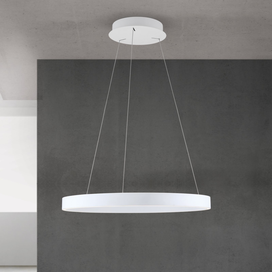 LED Stmievateľný luster na lanku KOLK LED/60W/230V 2700/3000/4000K pr. 60 cm biela