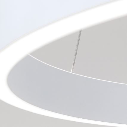 LED Stmievateľný luster na lanku KOLK LED/60W/230V 2700/3000/4000K pr. 60 cm biela