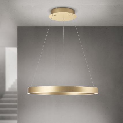 LED stmievateľný luster na lanku KOLK LED/60W/230V 2700/3000/4000K, priemer 60 cm, zlatý